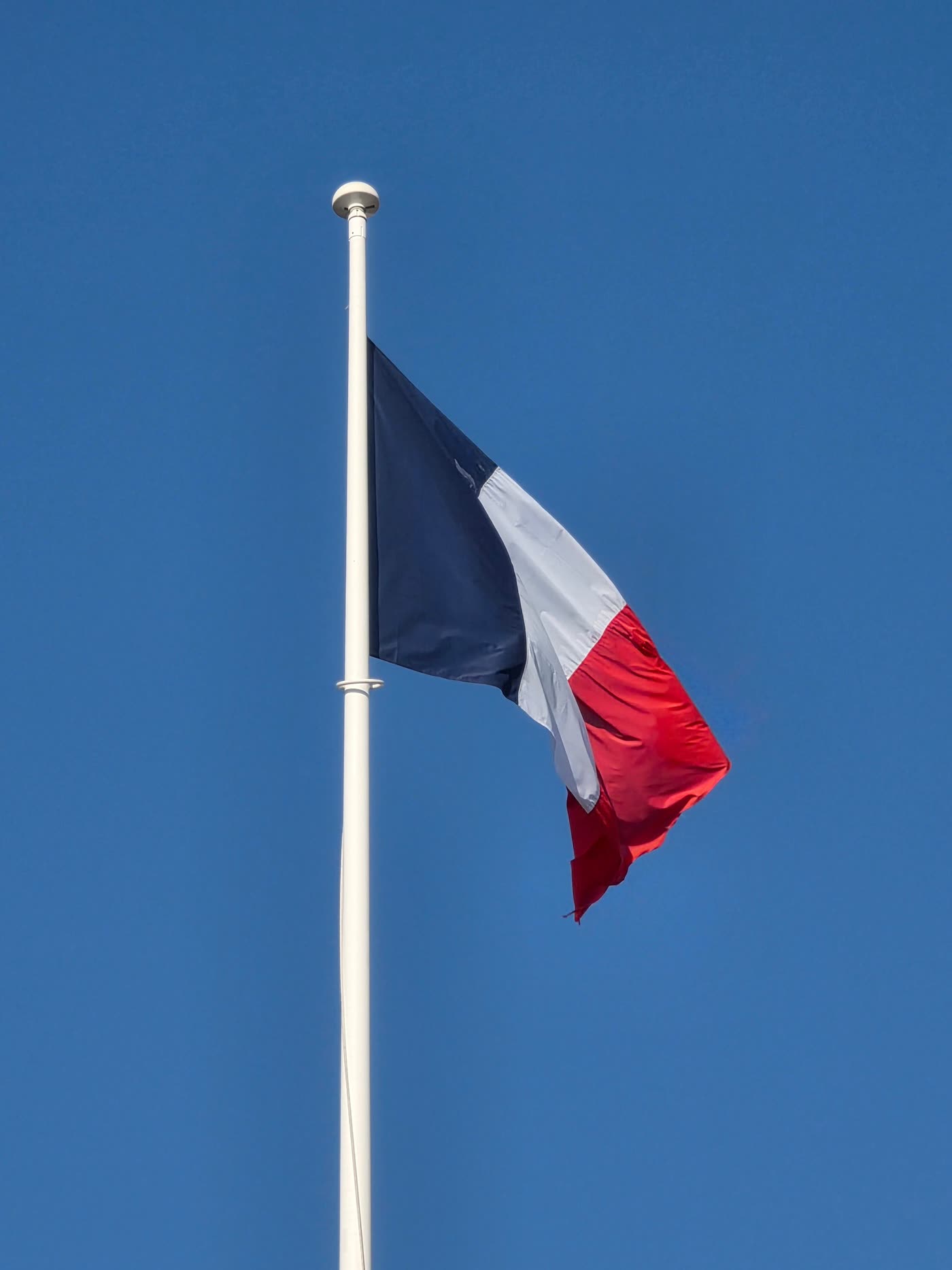 The French flag flying against a clear blue sky